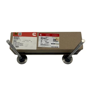 Kits d'assemblage de soupape de cylindre de noyau de valve de moteur Cummins 5693781